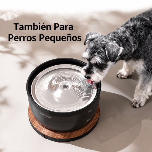 BEBEDERO INTELIGENTE SERIE W8